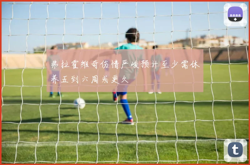弗拉霍维奇伤情严峻预计至少需休养五到六周或更久