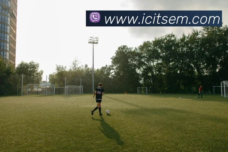 大江体育服务体系